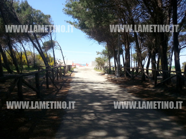 pineta_marinella_aprile_2014.jpg