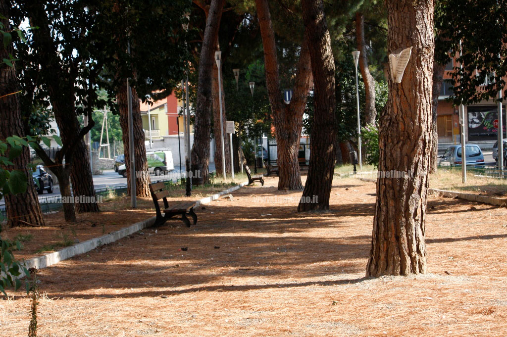 pinetina-via-Garibaldi-pulita-4.jpg