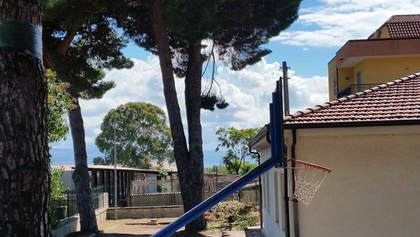 Lamezia: Processionaria, Casapound propone di trasferire i Pini scuola Capizzaglie