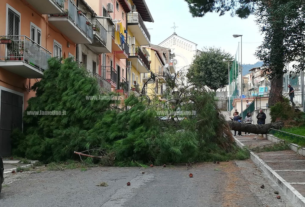 pino-garibladi-4-171018.jpg