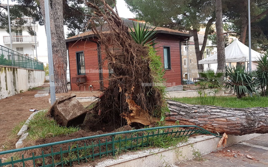 pino-garibladi-6-171018.jpg