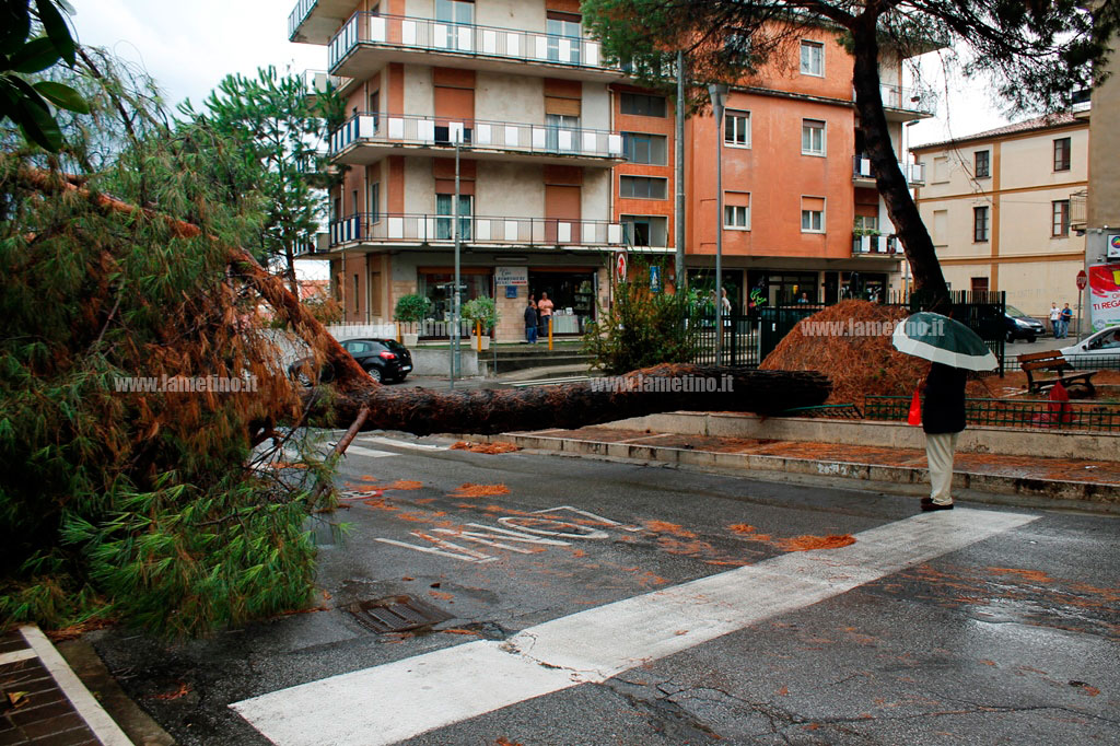 pino-sambiase-crollo-10-sett2.jpg