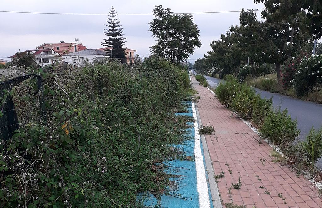 Lamezia, Branca (Lega): "Piste ciclabili coperte da sterpaglie ed erbacce"