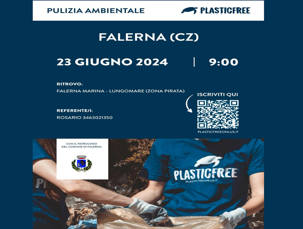 plastic-free-falerna_07219.jpg
