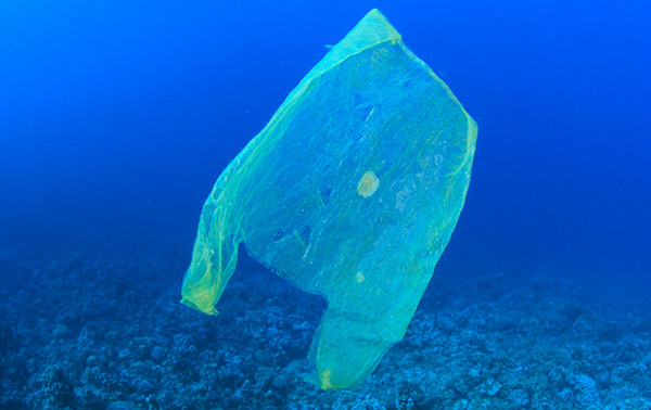 Oggi la giornata mondiale dell'ambiente, la sfida è combattere l'inquinamento da plastica nei mari