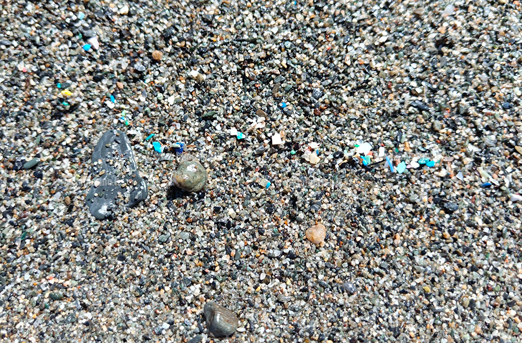 plastiche_46aae.jpg