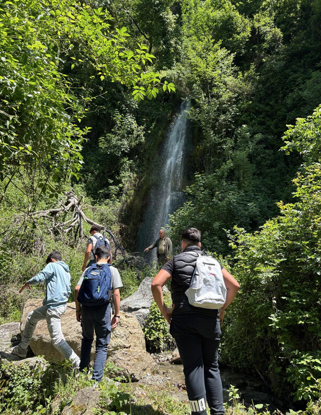 platania-2025-05-19-alle-15.57.05_e2580.jpg