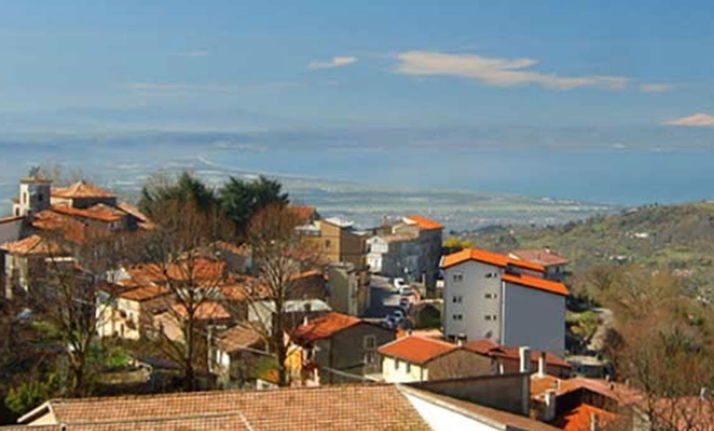 platania-2025-10-08-alle-10.40.06_408e3.jpg