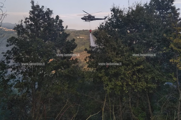 In fiamme macchia mediterranea e zona boscata a Platania - VIDEO