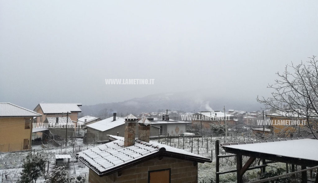 platania-neve.jpg