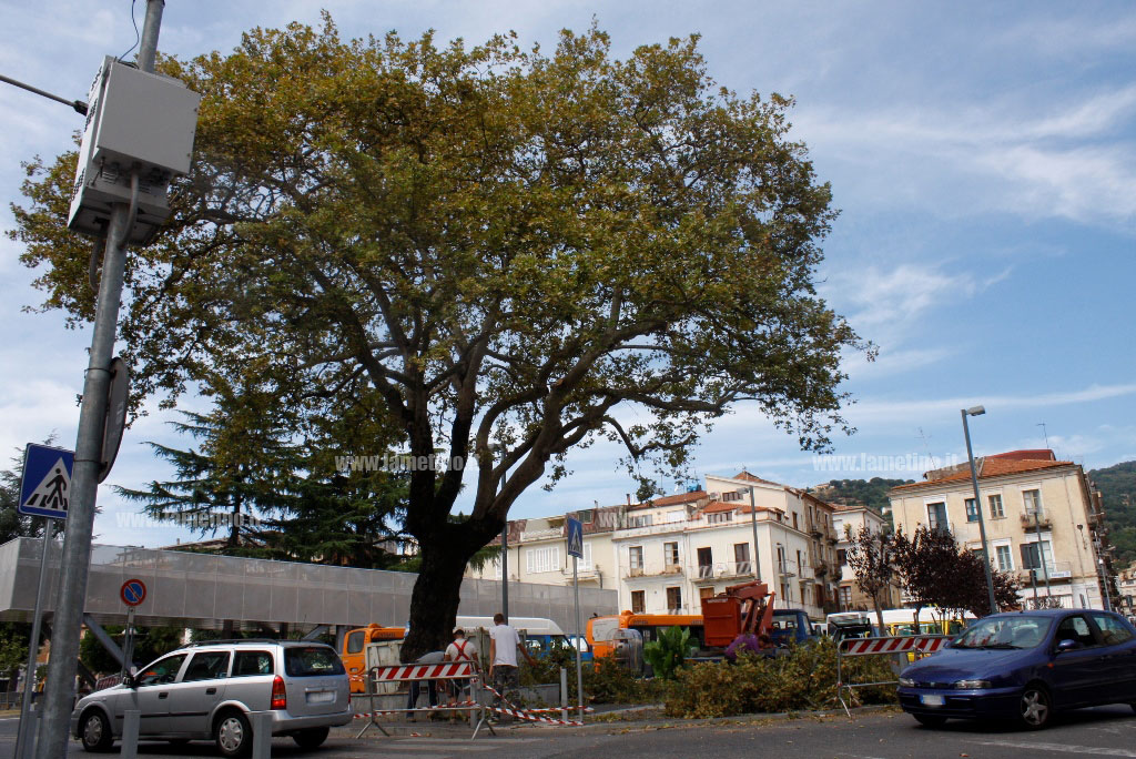 platano-2015-sett.jpg