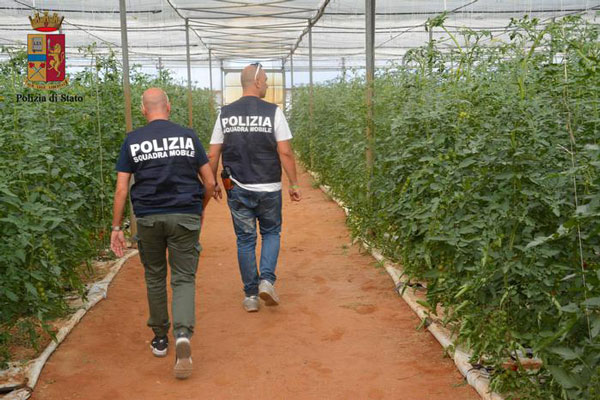 Operazione Freedom contro caporalato: identificate 235 persone e controllate 26 aziende anche in Calabria