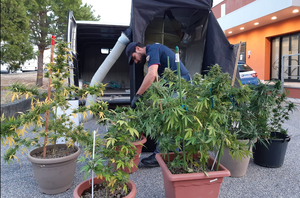 Disabile costretto a vivere tra rifiuti, denunciata la sorella a Catanzaro: scoperta anche coltivazione di marijuana