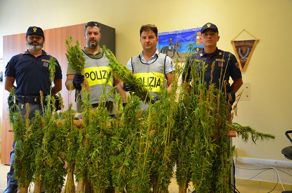 Sequestrate oltre 5.700 piante di marijuana a Catanzaro