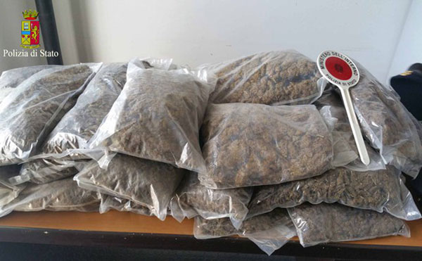 Scoperti 35 kg marijuana nel reggino