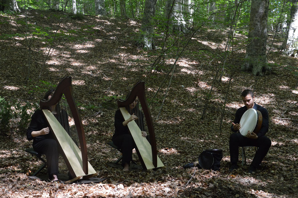 "Concerto per la foresta": evento conclusivo Festival delle erranze e della filoxenia il 12 agosto a Serrastretta