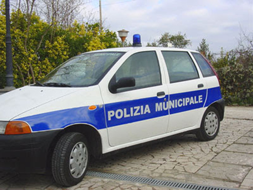 Calabria: Cani trovati morti a Matassa, Polizia municipale avvia indagine