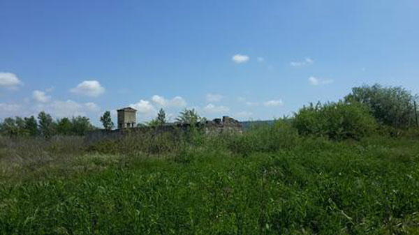 Calabria: al via  polo turistico del bergamotto