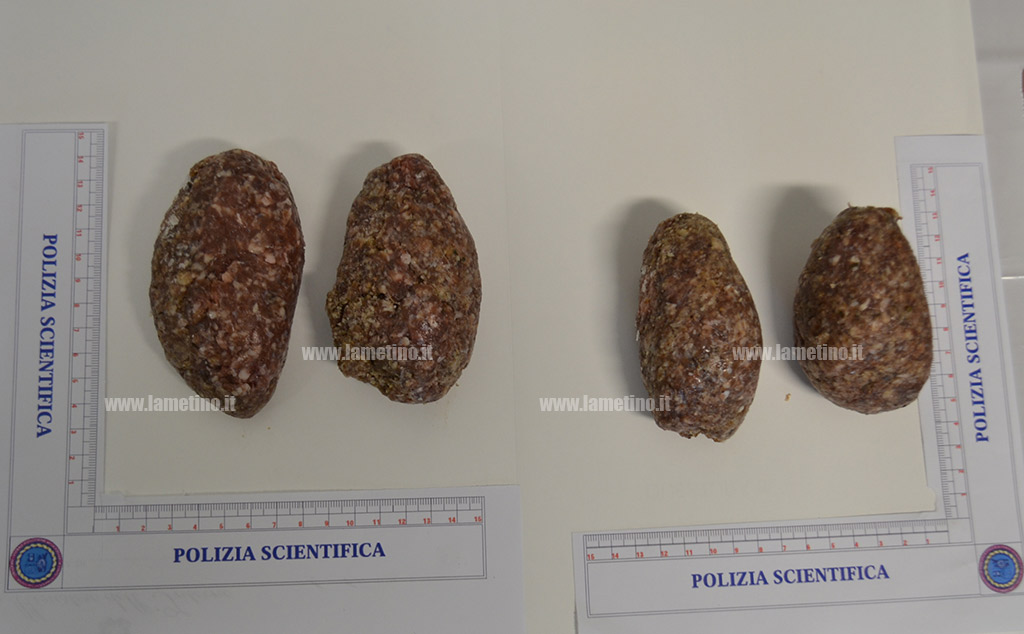 Lamezia: tentano di uccidere cane dei vicini con polpette avvelenate, denunciata coppia