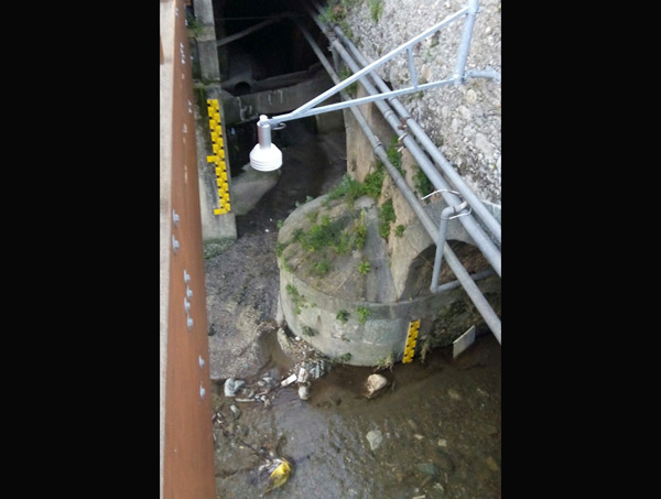 ponte_2.jpg
