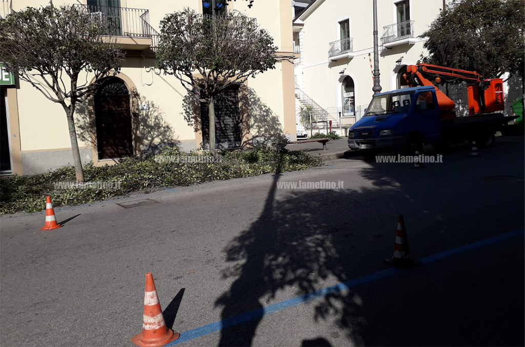Lamezia, potatura alberi in corso in diverse zone della città