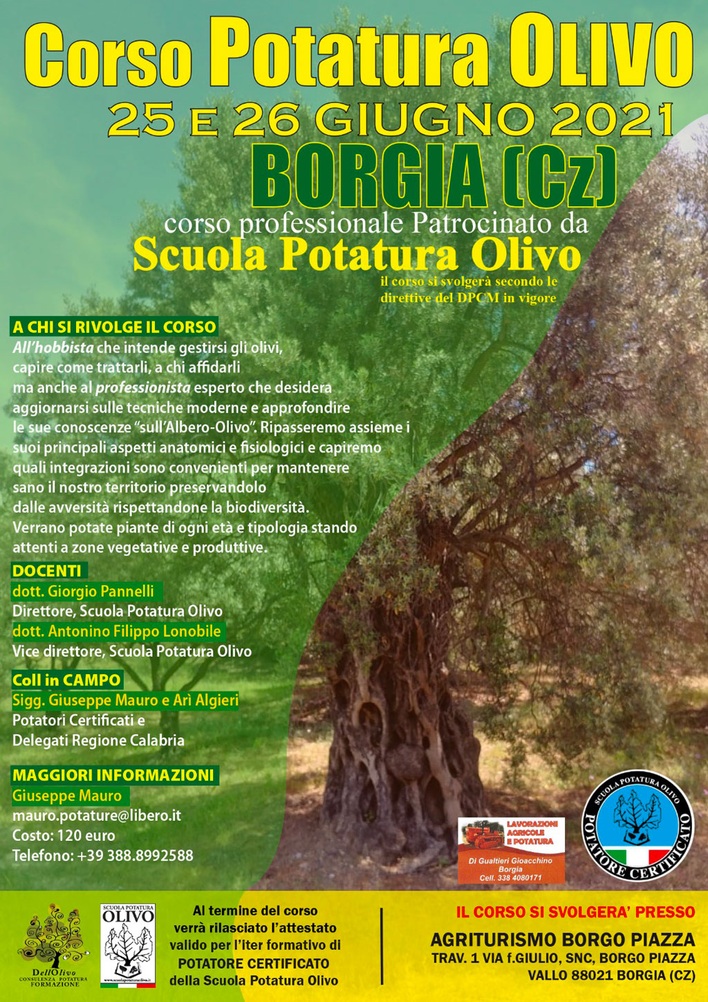 potatura-olivo_0986e.jpg