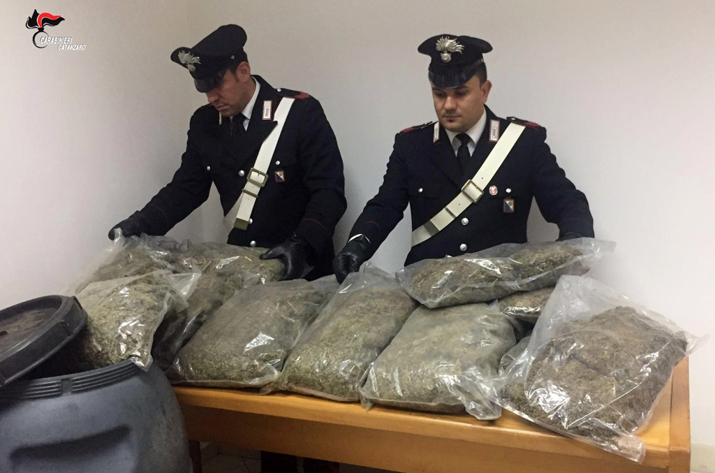 Rinvenuti 30 chilogrammi di marijuana in casolare abbandonato a Curinga