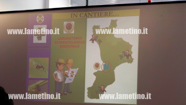 presentazione-laboratorio-fitopatologico-fondazione-terina-lamezia.jpg