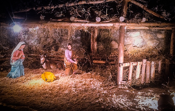 Lamezia: scout realizzano grotta della Natività a chiesa del Rosario