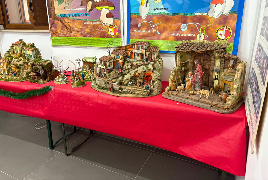 presepi_aa675.jpg