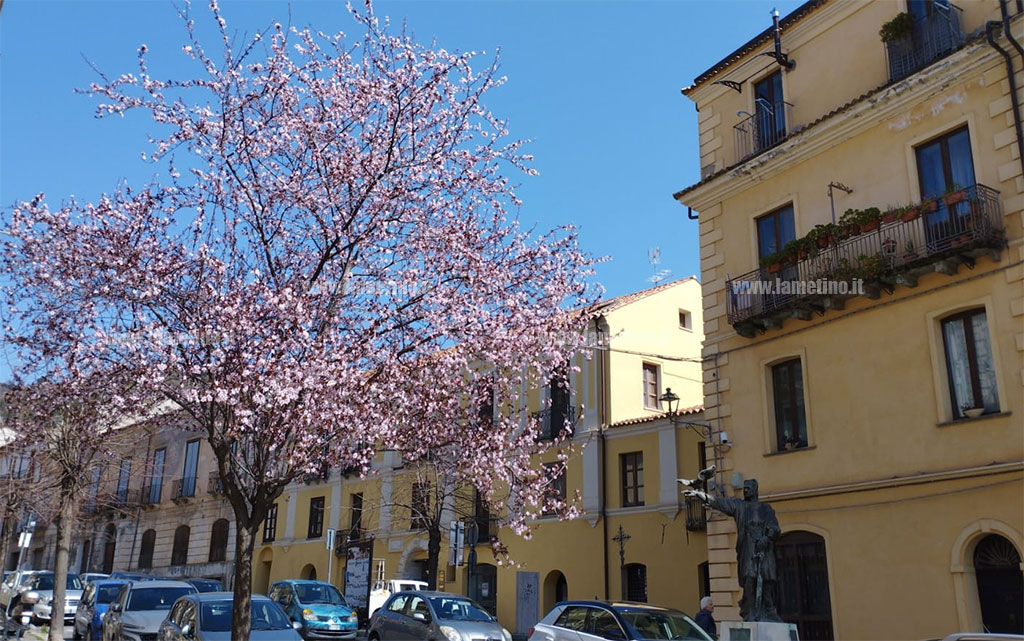 primavera-2025-03-20-alle-11.43.30_4ec41.jpg