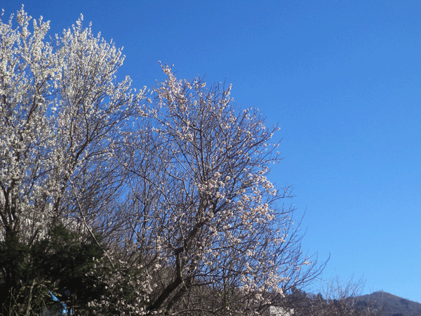 Calabria: Cielo sereno e temperature primaverili in tutta la regione