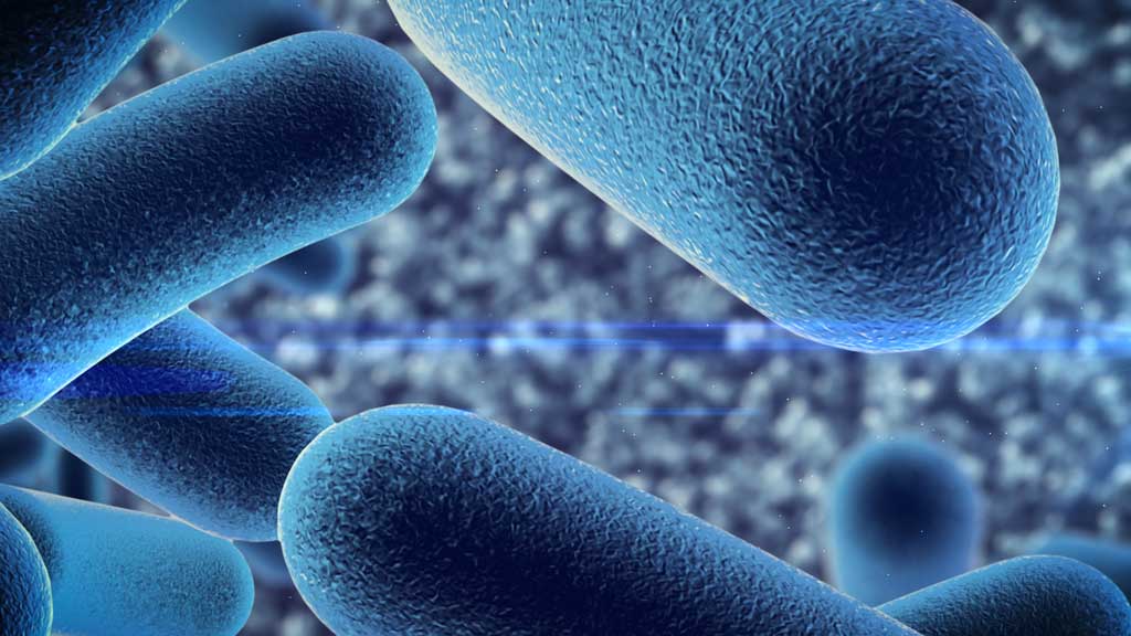 Tappa a Lamezia del tour "Microbiota e intestino: un mondo nuovo e tutto da scoprire sin dalla nascita"