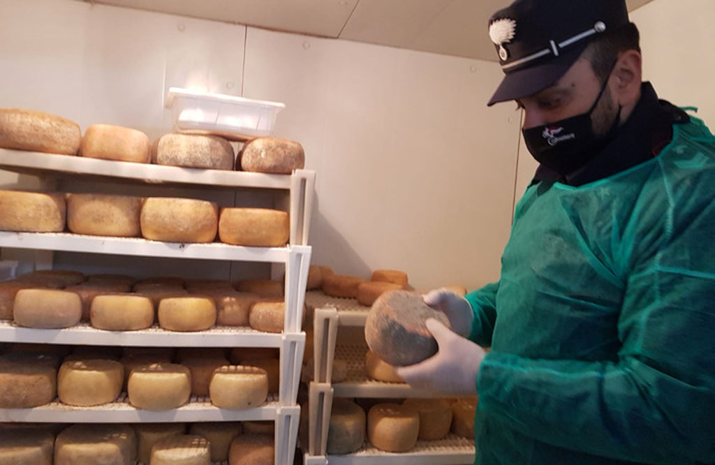 Sequestrati 350 chili prodotti caseari nel Cosentino 