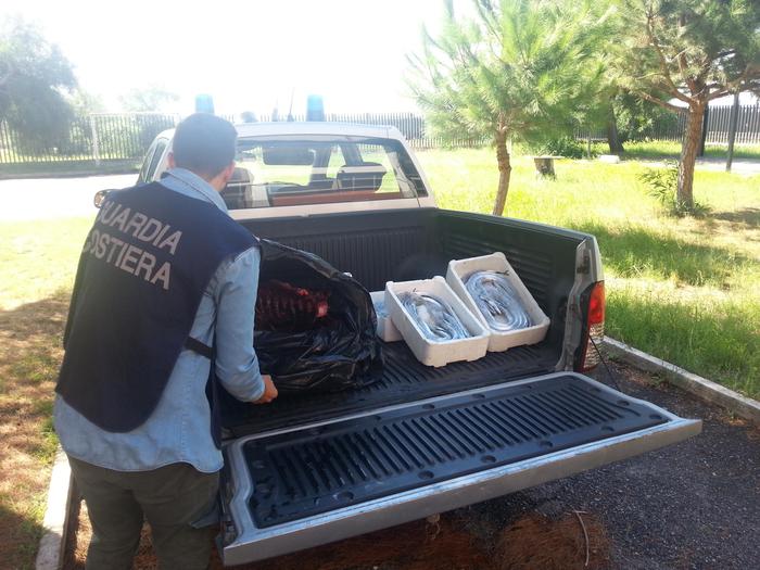Confiscati 50 kg prodotti ittici contraffatti a Gioia Tauro