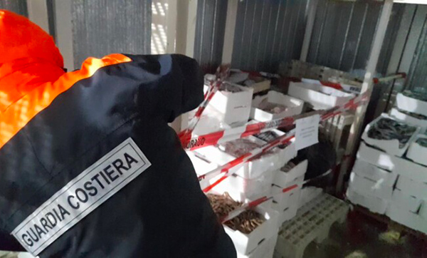 Sequestrati a Catanzaro tre quintali di prodotti ittici, merce priva di tracciabilità