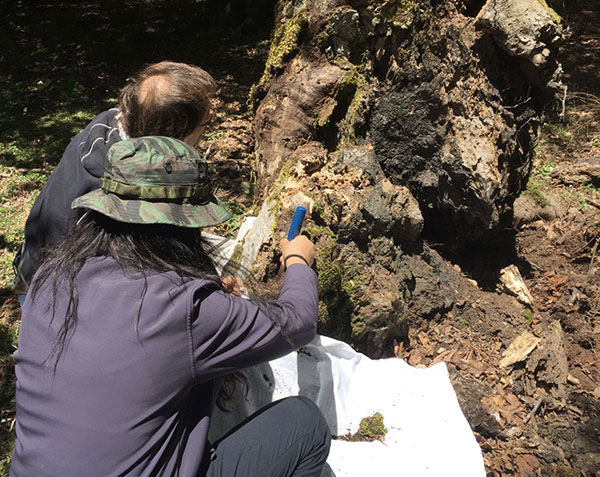 Al Parco dell’Aspromonte nuovo progetto per tutela biodiversità