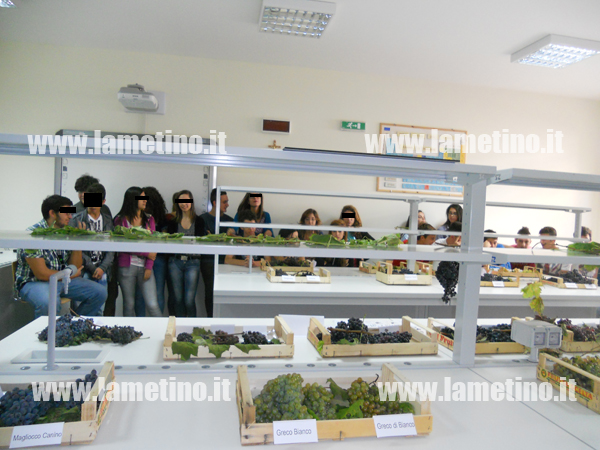 progetto-uve-scentifico-ott-2013-2.jpg