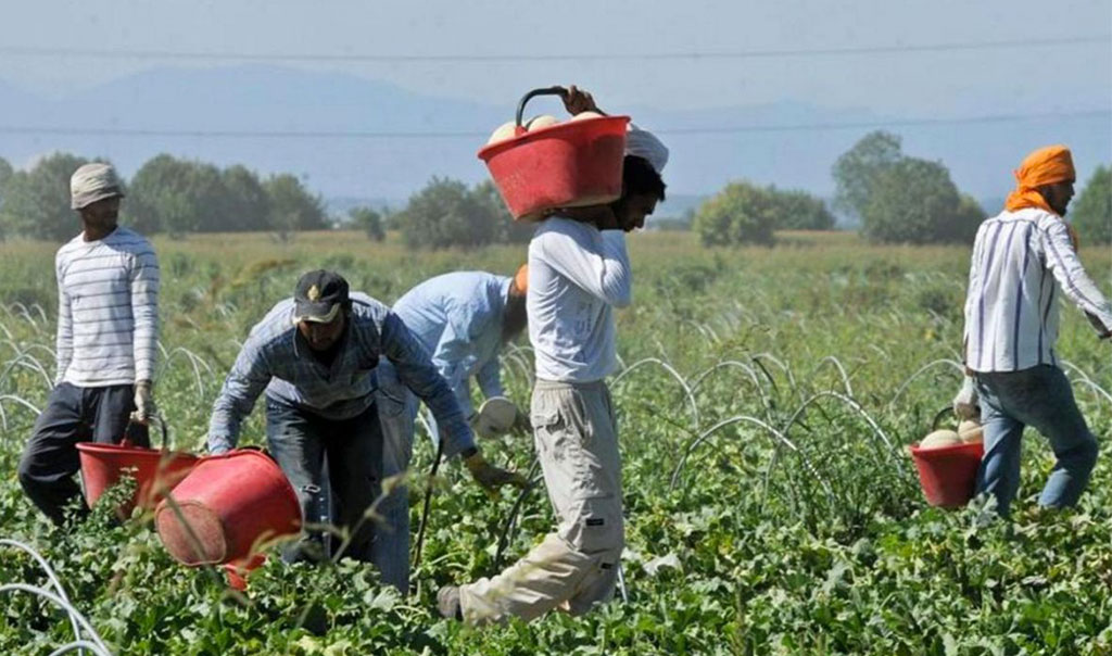 Caporalato in agricoltura, pubblicato Avviso per acquisizione manifestazioni di interesse