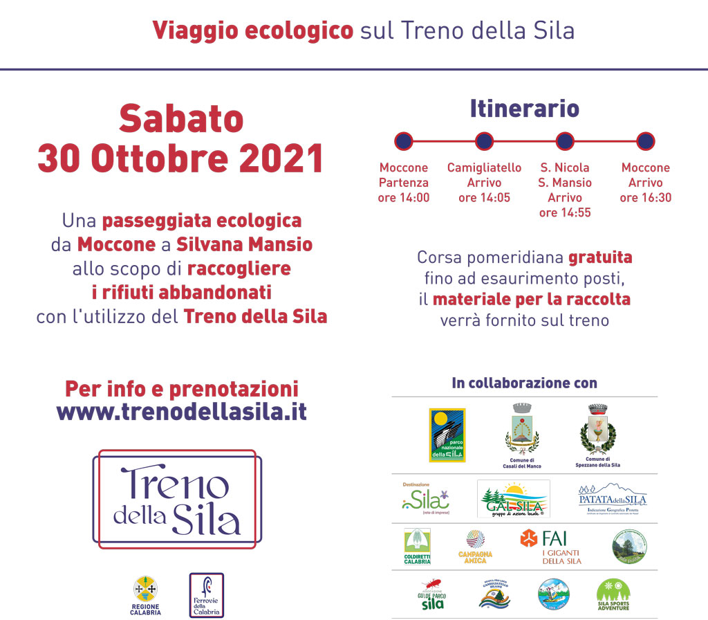 programmasilapiupulita-manifesto_STAMPA_6e52b.jpg