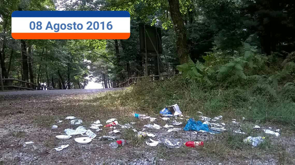 prolocofalerna.jpg