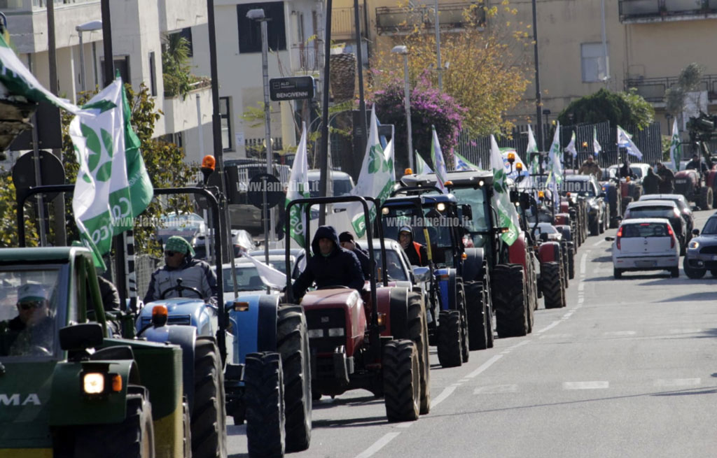 protesta-2019111.jpg