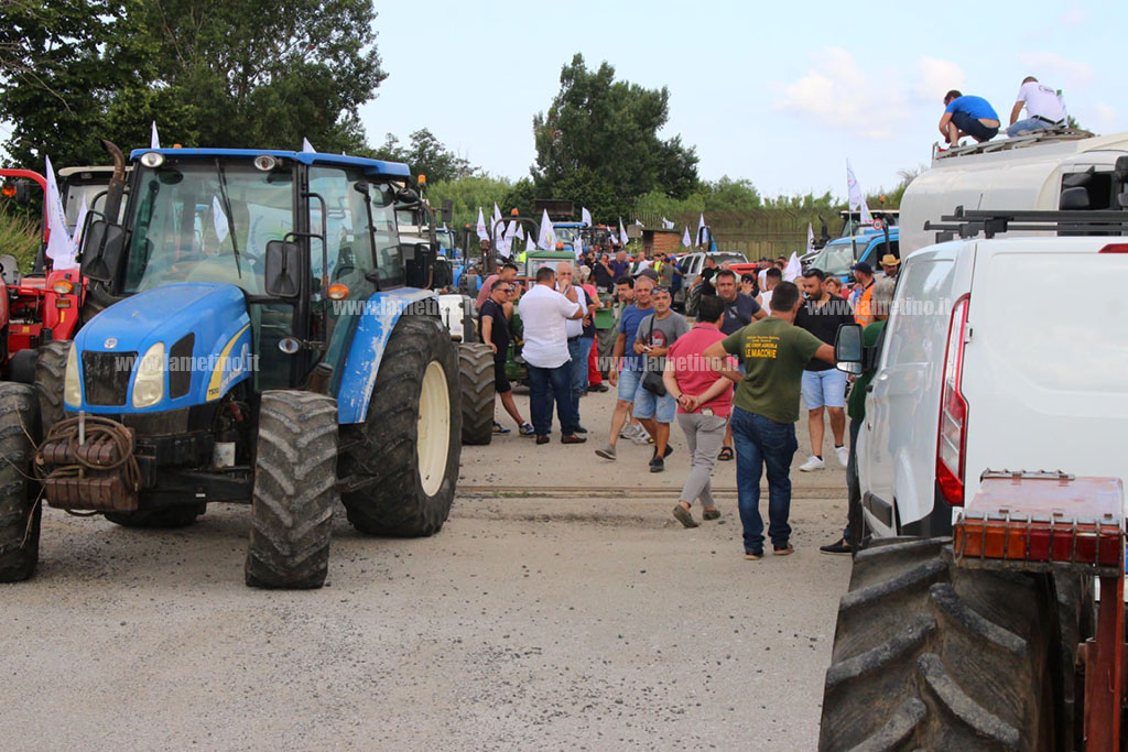 protesta-agricoltori-6722dde61_ef463.jpg