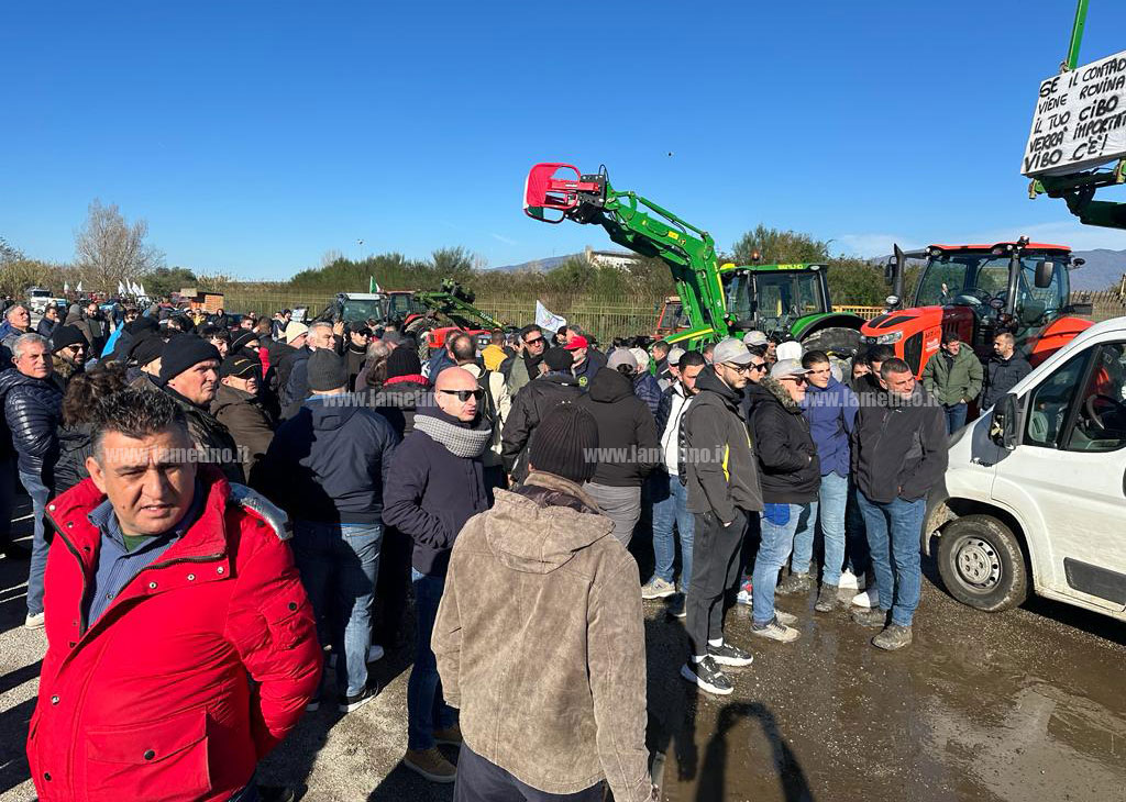 protesta-agricoltori-lamezia-22124-4c4d-b692-a17b5f6a60c9_8967d.jpg