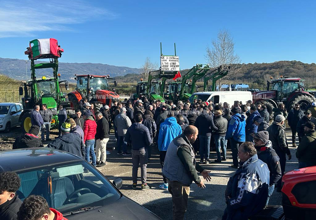 protesta-agricoltori-lamezia-22124-d8ba-40e0-bed9-867583398420_8c279.jpg