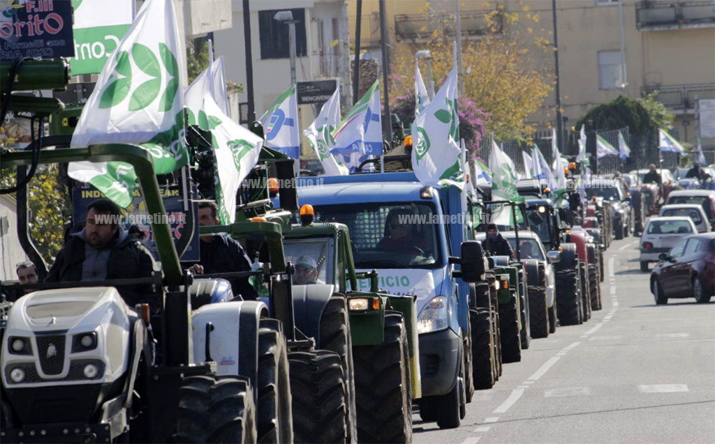 protesta-olio-2019111.jpg