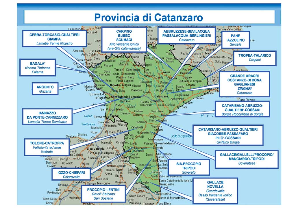 Lamezia, anche le operazioni "Alesia" e "Quinta Bolgia" nella relazione semestrale Dia