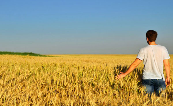 Pubblicato nuovo bando del Psr per insediamento giovani in agricoltura