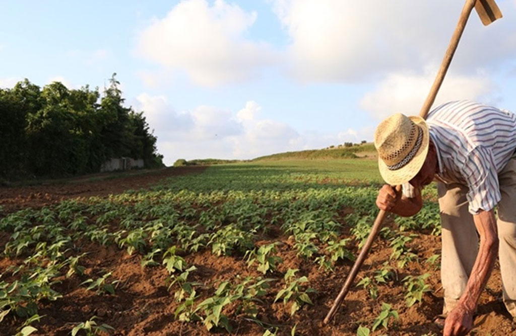psr-agricoltura_78c1d_0e68b.jpg