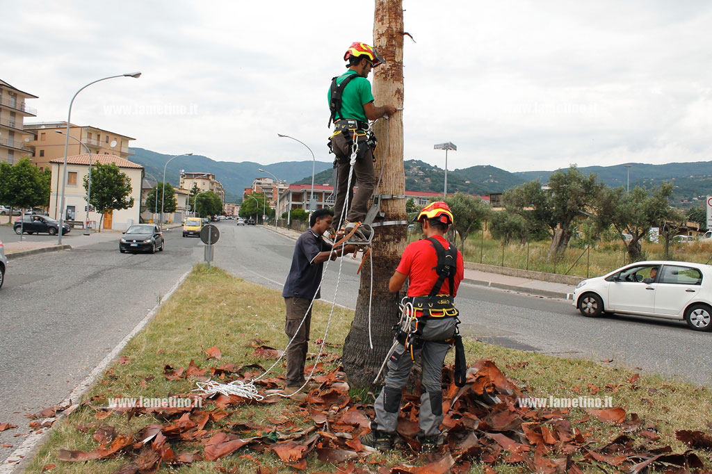 Lamezia: 159.805,20 euro all’Ati formata da Ecosud, Lamezia Libera e Malgrado Tutto per gestione verde